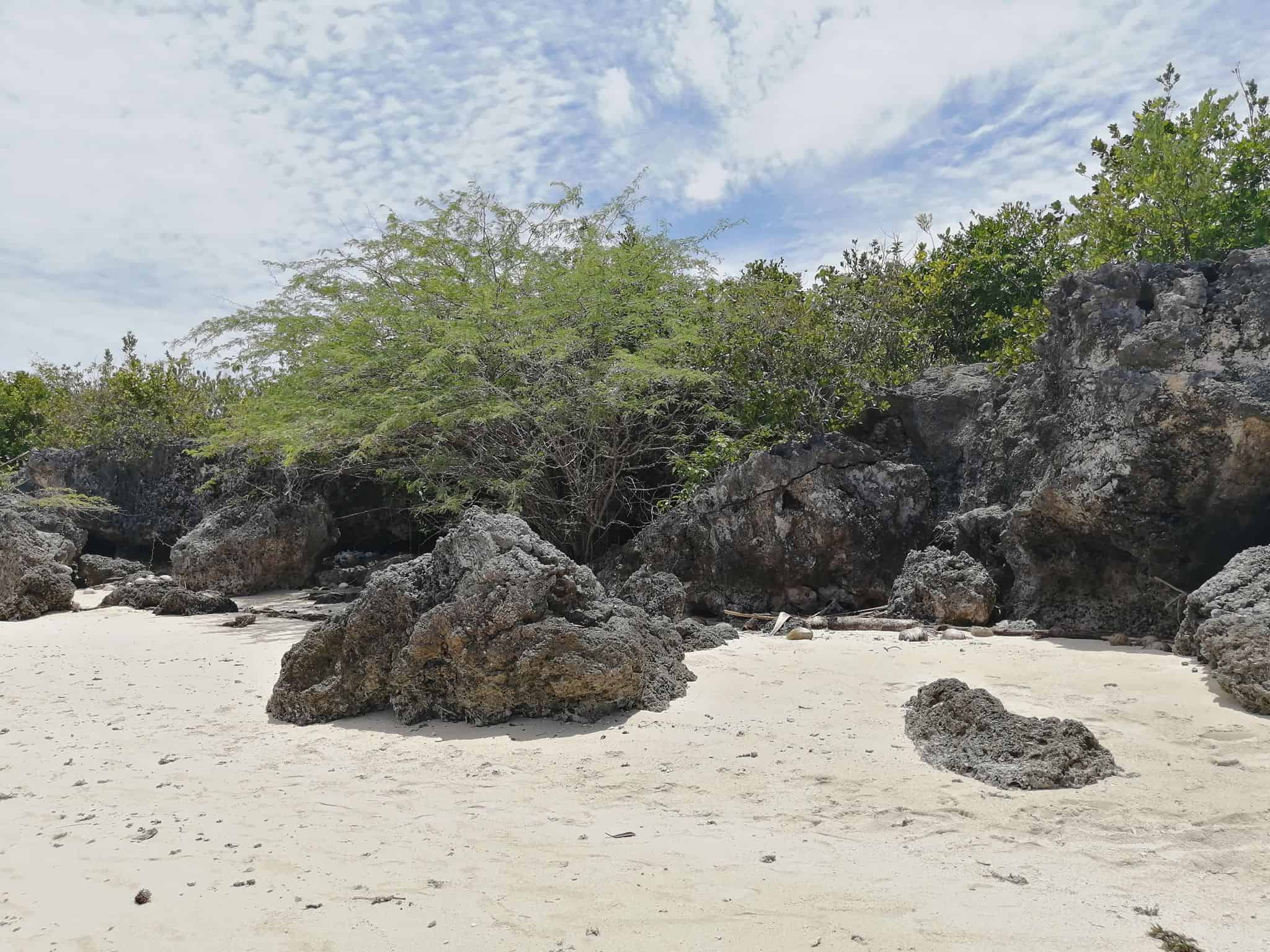 Moalboal Cebu Beach View