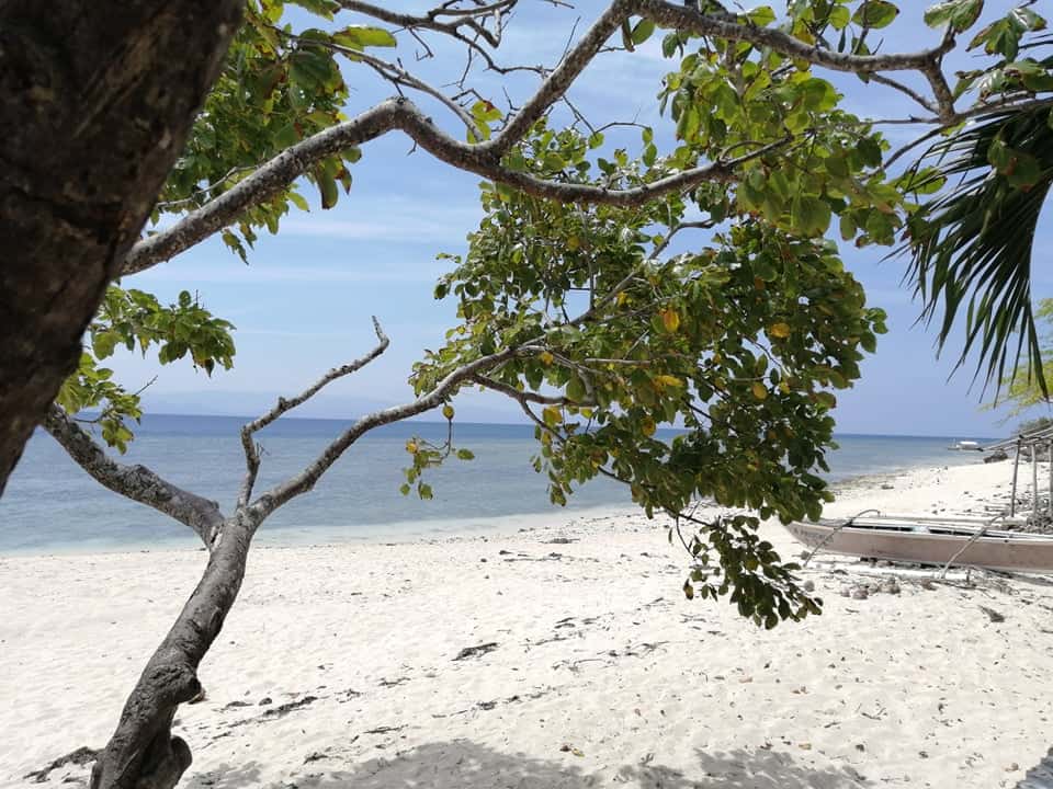 Beautiful Moalboal Coastline